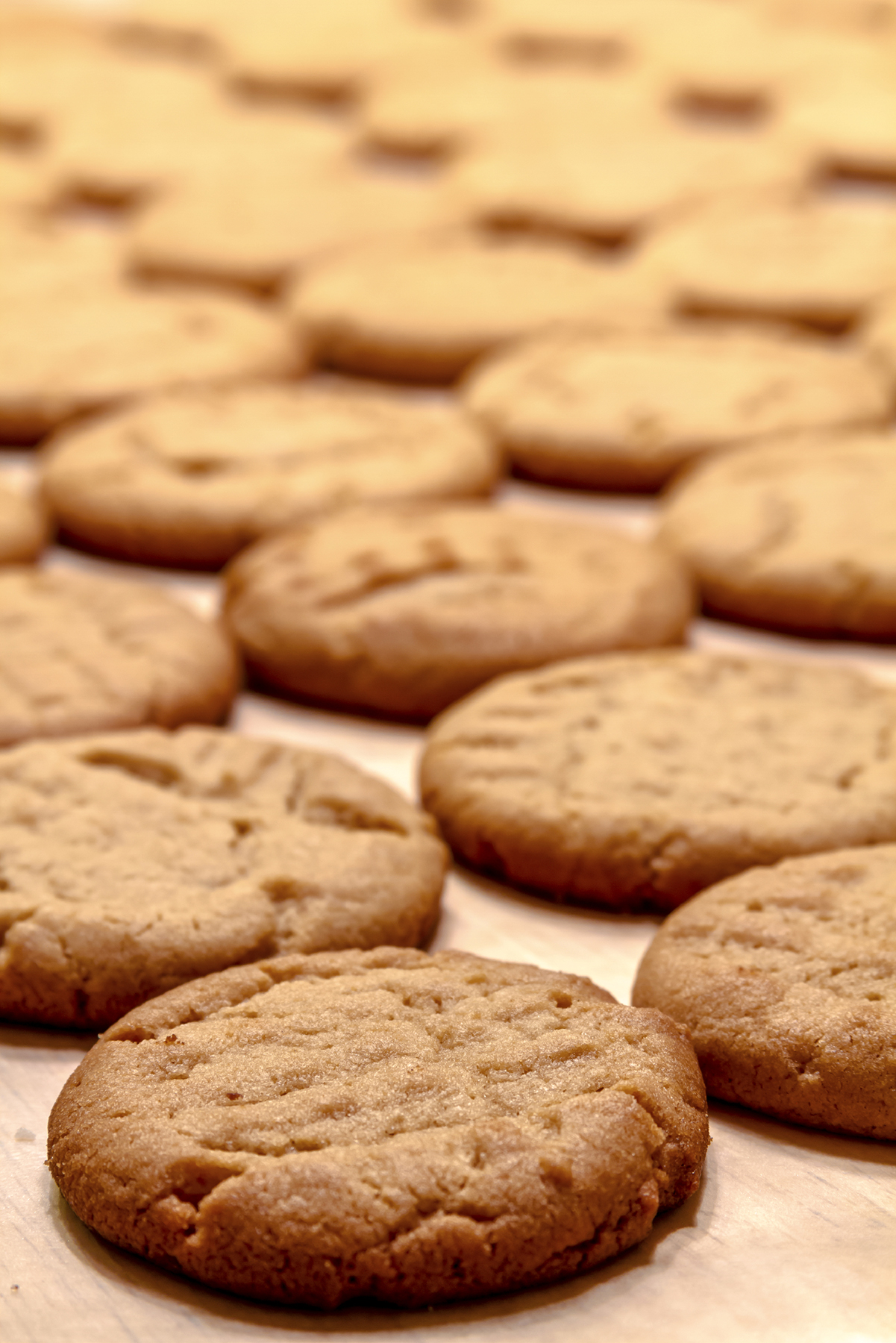 Maple Peanut Butter Cookies | Bluebonnet Baker